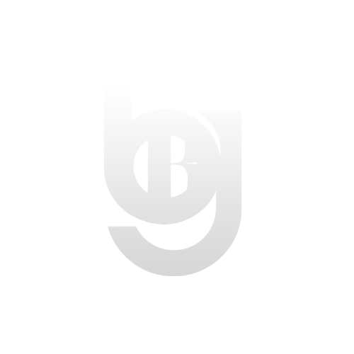 BidBotGarage